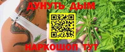 индика Заволжье