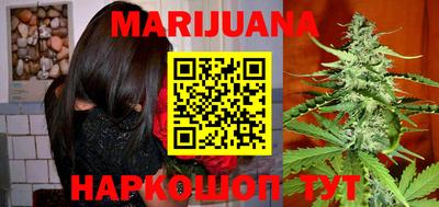индика Заволжье