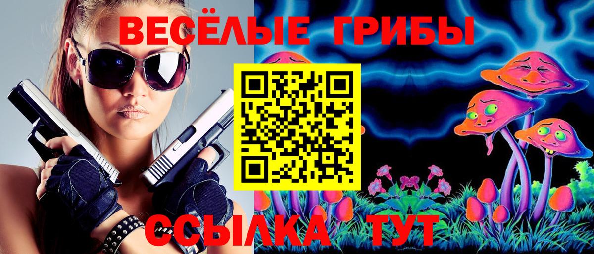 Галлюциногенные грибы Psilocybe  Галлюциногенные грибы GOLDEN TEACHER  Малоярославец  Вход с VPN 